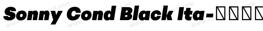 Sonny Cond Black Ita字体转换